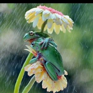 Meet your Posher, Rozelyn